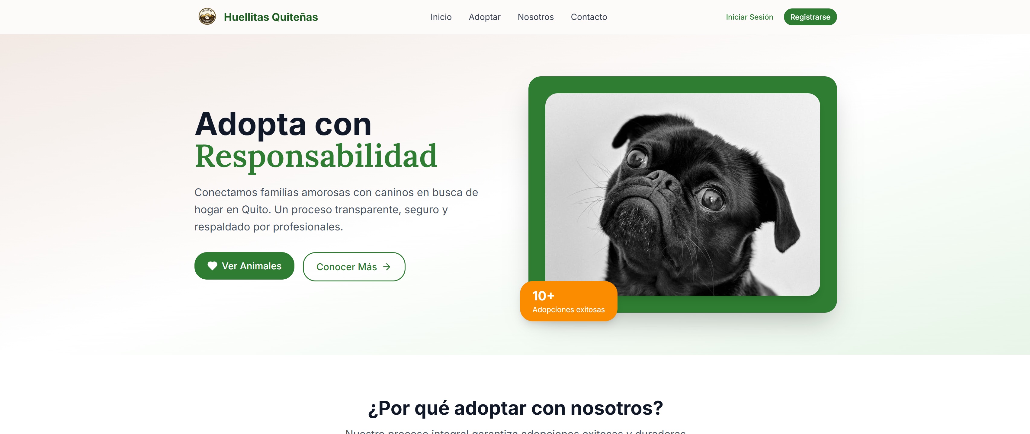 Huellitas Quiteñas – Animal Adoption Platform